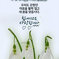 댓글 첨부 이미지