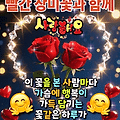 댓글 첨부 이미지