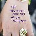 댓글 첨부 이미지