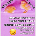 댓글 첨부 이미지