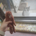 댓글 첨부 이미지