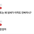 댓글 첨부 이미지