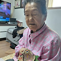 댓글 첨부 이미지