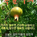 '.' 글에 포함된 이미지