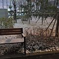 '어제 제법 많은눈이 ' 글에 포함된 이미지