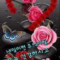'.' 글에 포함된 이미지