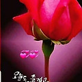 '.' 글에 포함된 이미지
