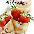 '.' 글에 포함된 이미지