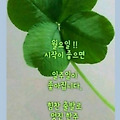 '즐겁고~~ 힘찬 월욜되' 글에 포함된 이미지