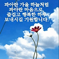 '.' 글에 포함된 이미지