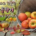 '.' 글에 포함된 이미지