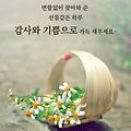 '.' 글에 포함된 이미지