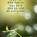 '.' 글에 포함된 이미지