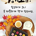 '.' 글에 포함된 이미지