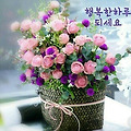 '.' 글에 포함된 이미지
