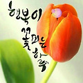 '오늘도 좋은하루요♡' 글에 포함된 이미지