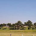 '딸 학교 데려다 주면' 글에 포함된 이미지