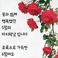 '고운밤들 되세요♡' 글에 포함된 이미지