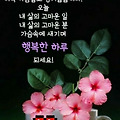 '.' 글에 포함된 이미지
