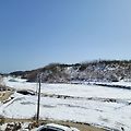 '아직은 온통 눈세상이' 글에 포함된 이미지