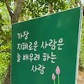 '점심 맛나게 드시고 ' 글에 포함된 이미지