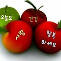 '.' 글에 포함된 이미지