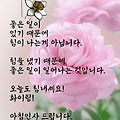 '.' 글에 포함된 이미지