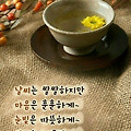 '.' 글에 포함된 이미지