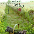 '해피데이♡' 글에 포함된 이미지