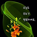 '오늘도  쌀쌀하지만 ' 글에 포함된 이미지