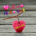 '.' 글에 포함된 이미지
