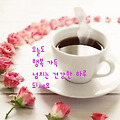 '.' 글에 포함된 이미지