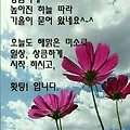 '.' 글에 포함된 이미지