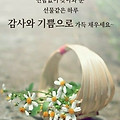 '.' 글에 포함된 이미지