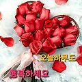 '.' 글에 포함된 이미지