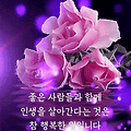 'ㆍ' 글에 포함된 이미지