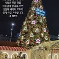 '즐거운 성탄절 되세요' 글에 포함된 이미지