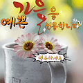 '.' 글에 포함된 이미지