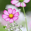 '.' 글에 포함된 이미지