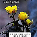 '.' 글에 포함된 이미지