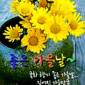 '.' 글에 포함된 이미지