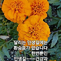 '.' 글에 포함된 이미지