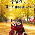 '.' 글에 포함된 이미지