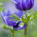 '.' 글에 포함된 이미지