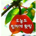 '.' 글에 포함된 이미지