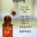'눈길 조심운전 하세요' 글에 포함된 이미지