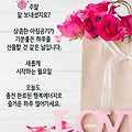 '.' 글에 포함된 이미지