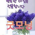 '.' 글에 포함된 이미지