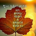 '.' 글에 포함된 이미지