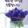 'ㆍ' 글에 포함된 이미지